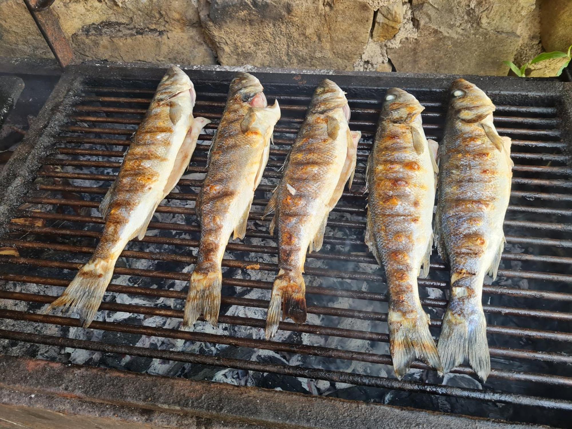 Apartma Istra Zora Sečovlje Dış mekan fotoğraf