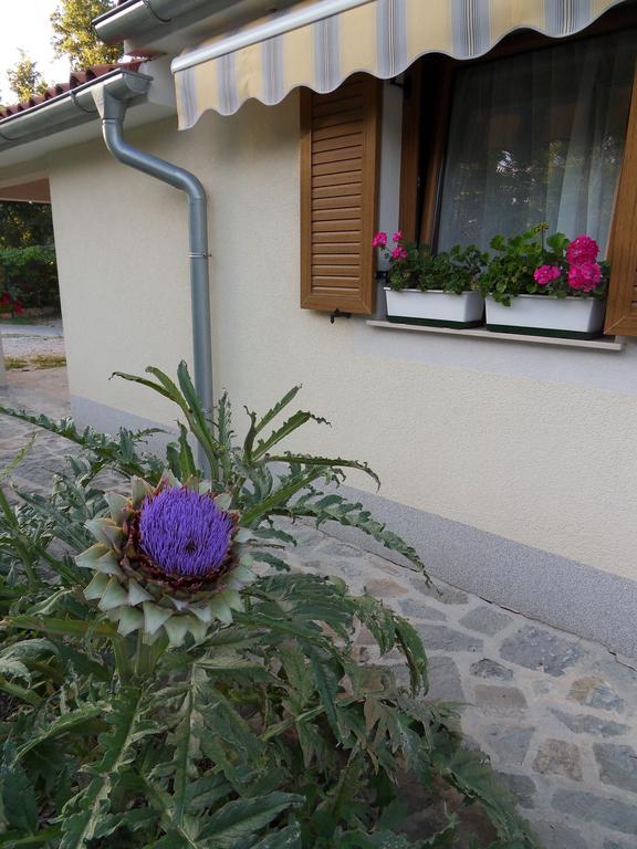 Apartma Istra Zora Sečovlje Dış mekan fotoğraf