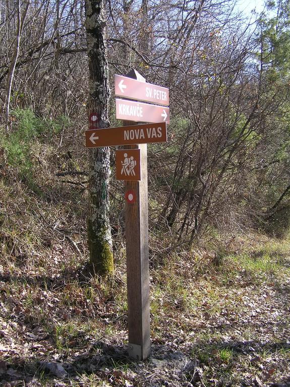 Apartma Istra Zora Sečovlje Oda fotoğraf