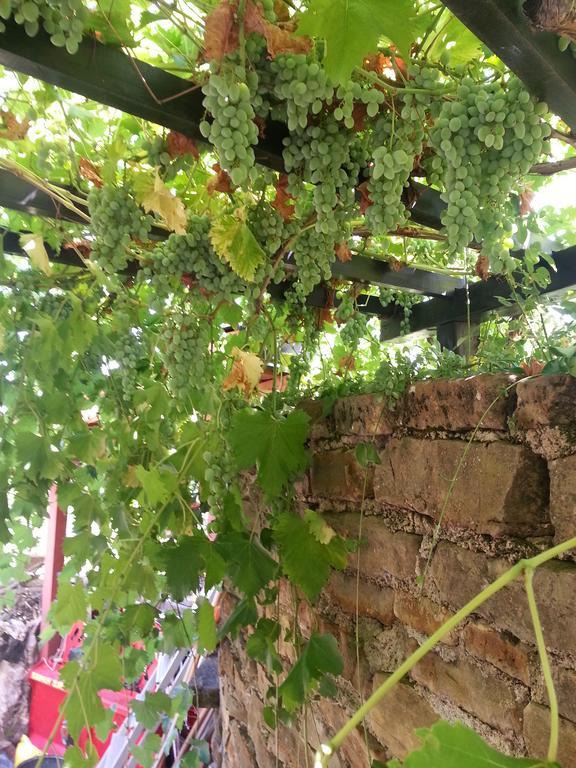 Apartma Istra Zora Sečovlje Dış mekan fotoğraf