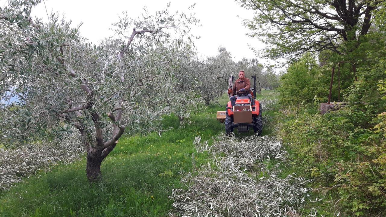 Apartma Istra Zora Sečovlje Dış mekan fotoğraf