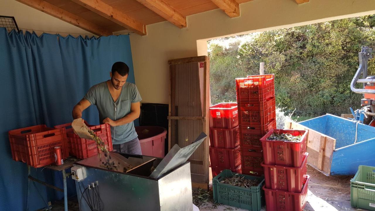 Apartma Istra Zora Sečovlje Dış mekan fotoğraf